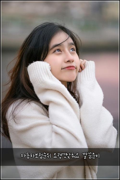 자동차보험순위 요령껏낮춰요 깔끔준비