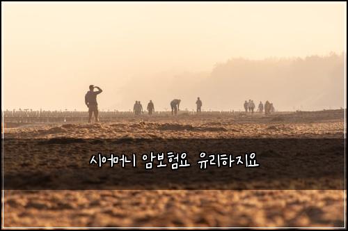 시어머니 암보험요 유리하지요
