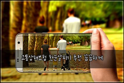 교통상해보험 한눈살피기  추전 꼼꼼하게