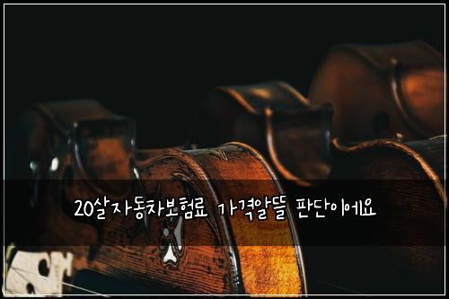 20์ด์๋์ฐจ๋ณดํ๋ฃ ๊ฐ๊ฒฉ์๋ฐ ํ๋จ์ด์์