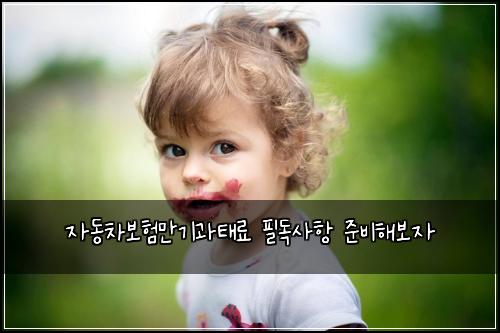 자동차보험만기과태료 필독사항 준비해보자