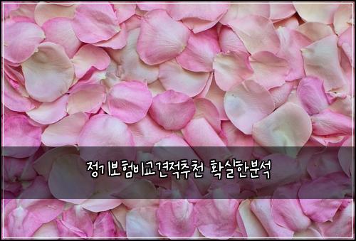정기보험비교견적추천 확실한분석