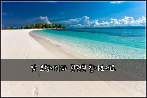 암 보험시장과 관련된 찾아보세요
