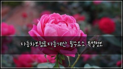자동차보험료자동계산 필수요소 특별정보
