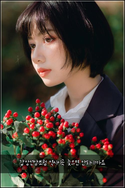 갑상선암보험 역시이곳  늦으면 안되니까요