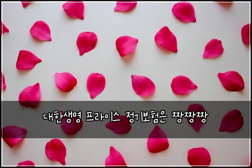 대한생명 프라이스 정기보험은 짱짱짱