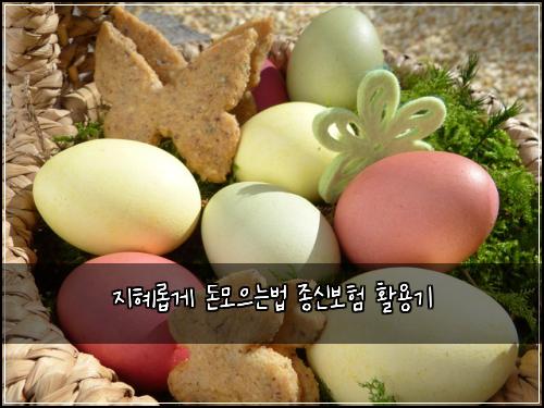 지혜롭게 돈모으는법 종신보험 활용기