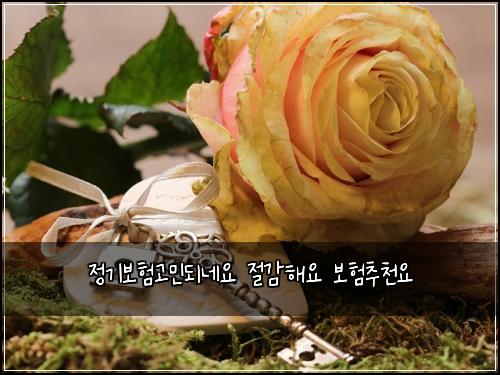 정기보험고민되네요 절감해요 보험추천요