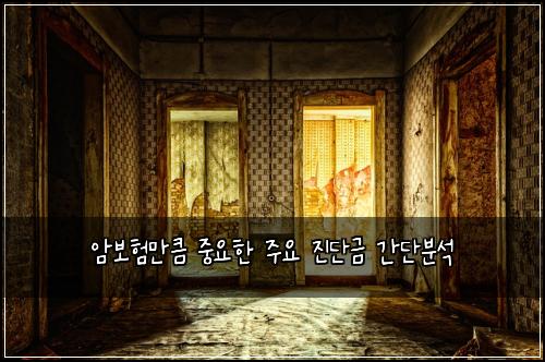 암보험만큼 중요한 주요 진단금 간단분석
