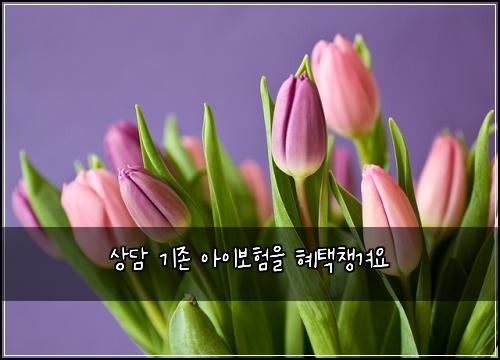 ์๋ด ๊ธฐ์กด ์์ด๋ณดํ์ ํํ์ฑ๊ฒจ์