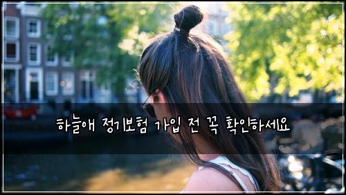 하늘애 정기보험 가입 전 꼭 확인하세요