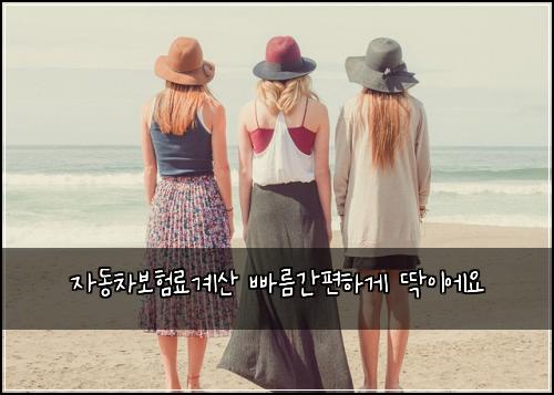 μλ차보νλ£κ³μ° λΉ λ¦κ°νΈνκ² λ±μ΄μμ