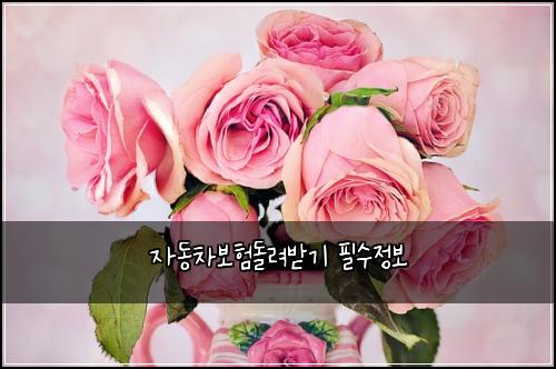 ์๋์ฐจ๋ณดํ๋๋ ค๋ฐ๊ธฐ ํ์์ ๋ณด