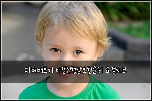 파헤쳐보기 비갱신형암보험순위 요점체크