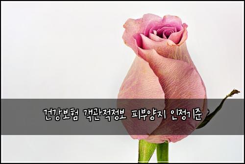 ๊ฑด๊ฐ๋ณดํ ๊ฐ๊ด์ ์ ๋ณด ํผ๋ถ์์ง ์ธ์ ๊ธฐ์ค