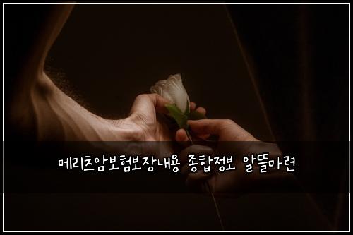 메리츠암보험보장내용 종합정보 알뜰마련