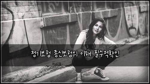 정기보험 종신보험의 이해 필수적확인
