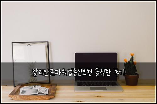 알리안츠파워업종신보험 솔직한 후기