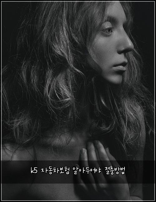 k5 자동차보험 알아두어야  절충방법