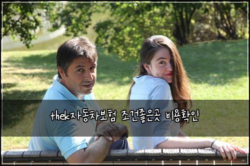 thek자동차보험 조건좋은곳  비용확인