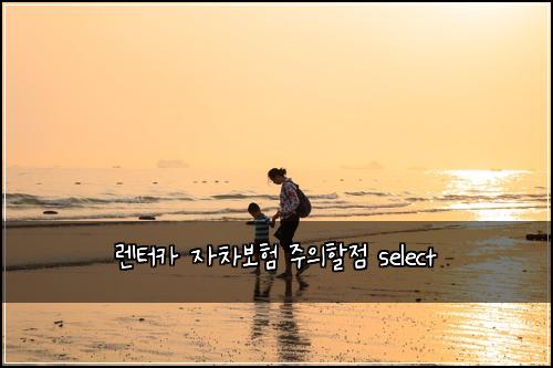 ๋ ํฐ์นด ์์ฐจ๋ณดํ ์ฃผ์ํ ์ select