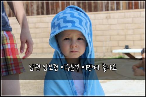 남편 암보험 이유분석  어떤게 좋나요