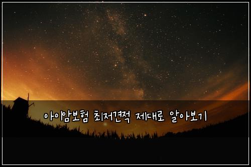 ์์ด์๋ณดํ ์ต์ ๊ฒฌ์ ์ ๋๋ก ์์๋ณด๊ธฐ