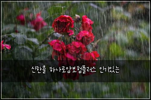 신한콜 하나로암보험플러스 인기있는