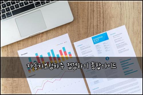 자동차보험차주 점검하기 종합가이드
