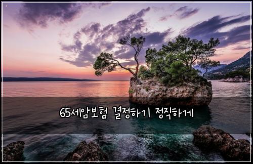 65μΈμ보ν κ²°μ νκΈ° μ μ§νκ²