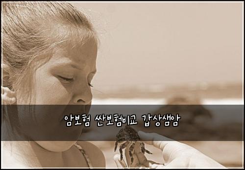 암보험 싼보험비교  갑상샘암