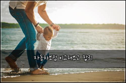 자동차보험 비교해보고  합릐