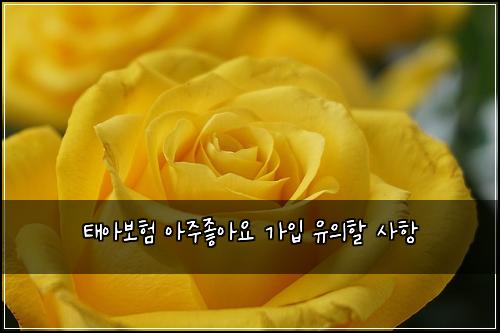 태아보험 아주좋아요  가입 유의할 사항