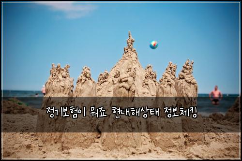 정기보험이 뭐죠 현대해상태 정보체킹