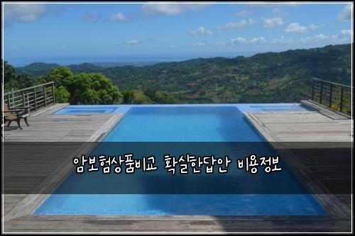 암보험상품비교 확실한답안 비용정보