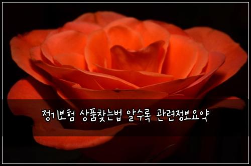 정기보험 상품찾는법  알수록 관련정보요약