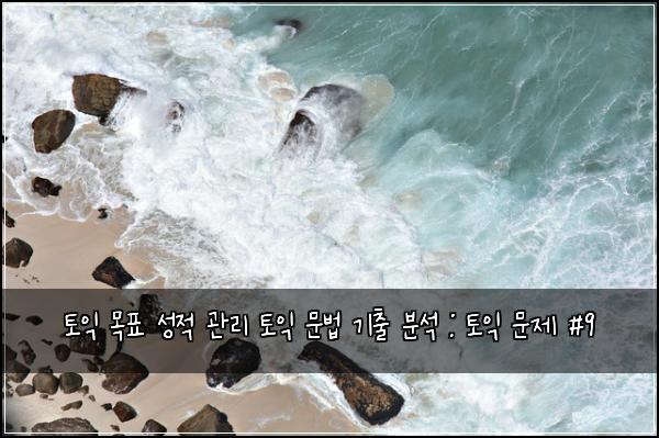 토익 목표 성적 관리 토익 문법 기출 분석 : 토익 문제 #9