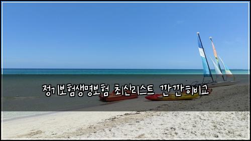 정기보험생명보험 최신리스트 깐깐히비교