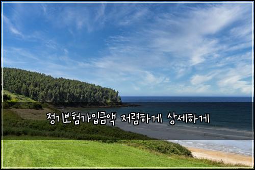 정기보험가입금액 저렴하게 상세하게