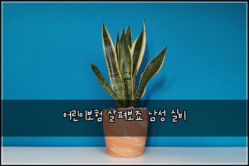 어린이보험 살펴보죠  남성 실비