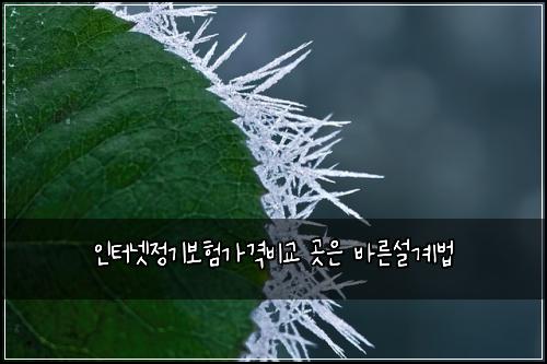์ธํฐ๋ท์ ๊ธฐ๋ณดํ๊ฐ๊ฒฉ๋น๊ต ๊ณณ์ ๋ฐ๋ฅธ์ค๊ณ๋ฒ