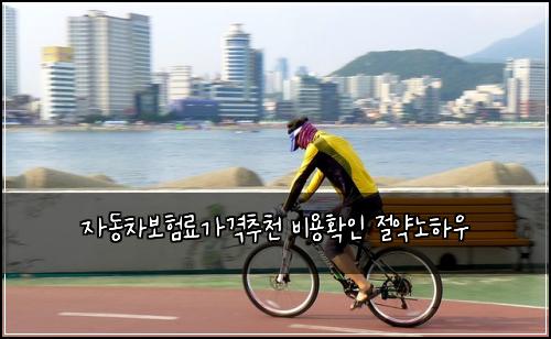 ์๋์ฐจ๋ณดํ๋ฃ๊ฐ๊ฒฉ์ถ์ฒ ๋น์ฉํ์ธ ์ ์ฝ๋
ธํ์ฐ