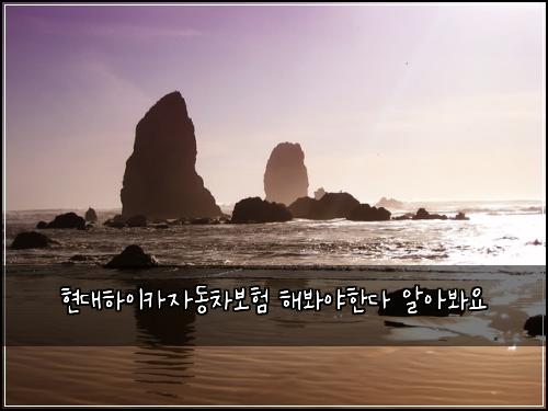 현대하이카자동차보험 해봐야한다  알아봐요