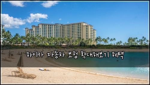 하이카 자동차 보험 확대해보기  혜택
