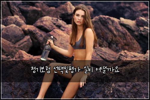 정기보험 선택및평가  실비 어떨까요