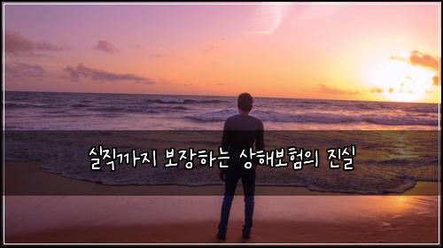 실직까지 보장하는 상해보험의 진실