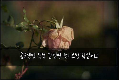 흥국생명 특정 감염병 정기보험 확실체크