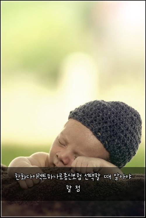 한화다이렉트하나로종신보험 선택할 때 알아야 할 점