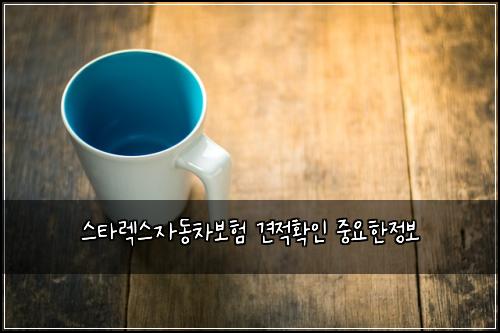 μ€νλ μ€μλ차보ν 견μ νμΈ μ€μνμ 보