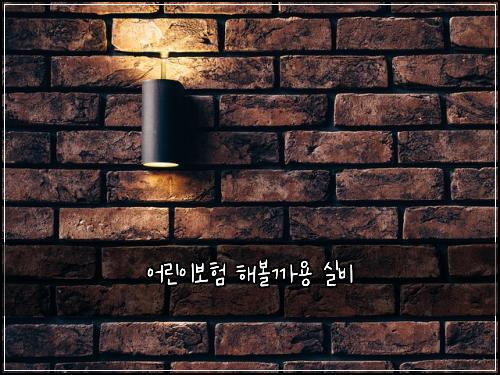 어린이보험 해볼까용  실비